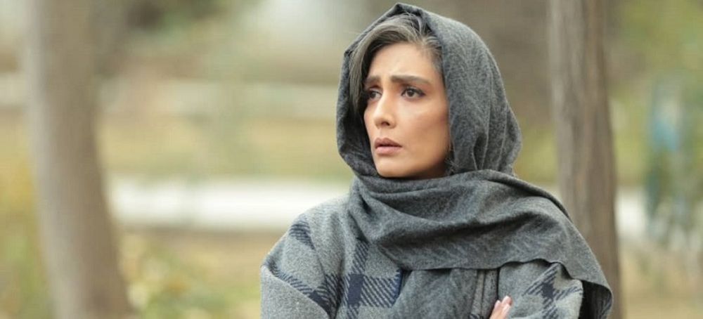 حضور همزمان لاکپشت و حلزون در ۲ جشنواره خارجی+ تصاویر