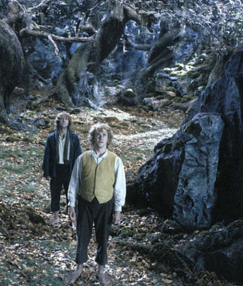 ارباب حلقه ها: دو برج