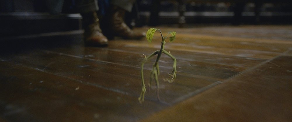 نمایی از فیلم «جانوران شگفت انگیز: جنایات گریندل والد» (Fantastic Beasts: The Crimes of Grindelwald)