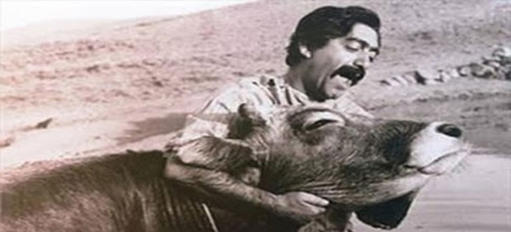 اسناد خواندنی درباره فیلم پرطرفدار مهرجویی؛ گاو با چه بودجهای ساخته شد؟