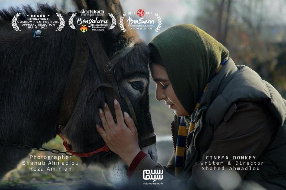 سحر صباغ سرشت در فیلم سینمایی «سینما خر»