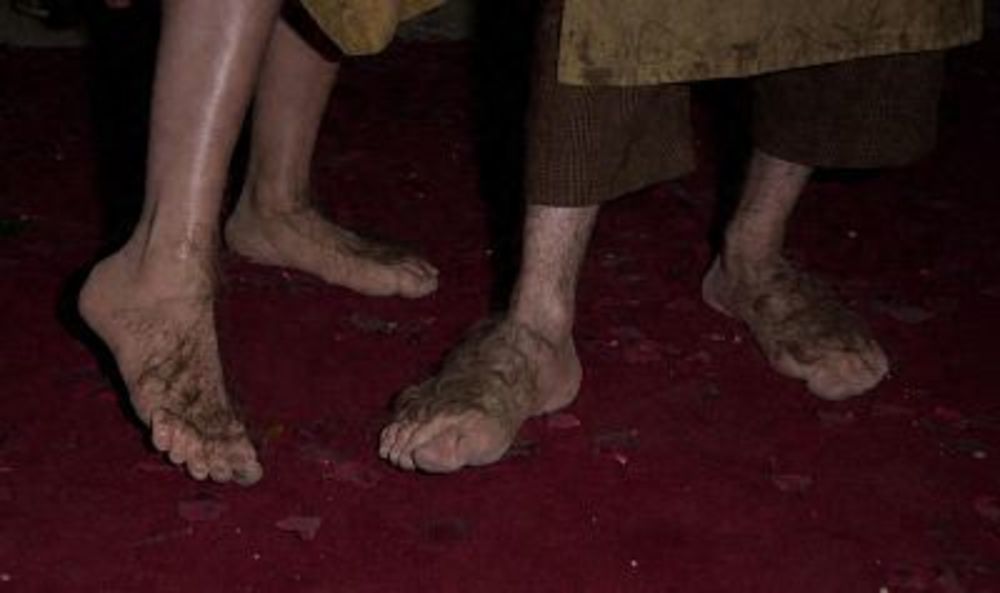 ارباب حلقه ها: یاران حلقه